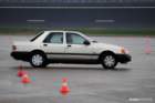 mpn_2181copy_small.jpg