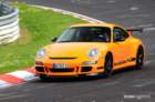 mpn_5371copy_small.jpg