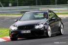 mpn_5625copy_small.jpg