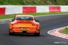 mpn_5995copy_small.jpg