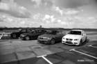 mpn_5173copybw_small.jpg