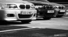 mpn_5205copy_small.jpg