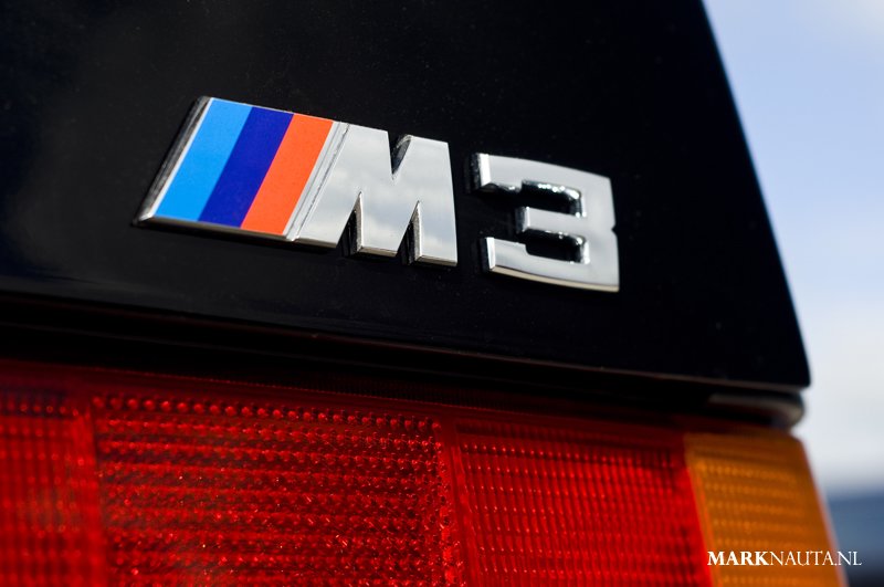 mpn_5231copy.jpg
