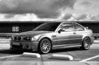 mpn_5282copybw2_small.jpg