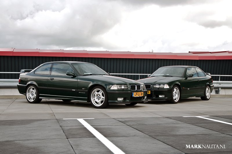 mpn_5338copy.jpg