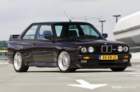 mpn_5367copy_small.jpg