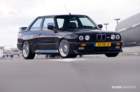 mpn_5382copy_small.jpg