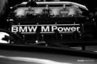 mpn_5384copy_small.jpg