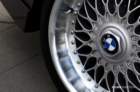 mpn_5385copy_small.jpg